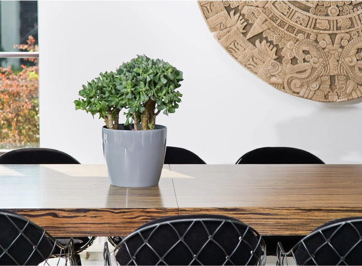 Idealno za notranjost