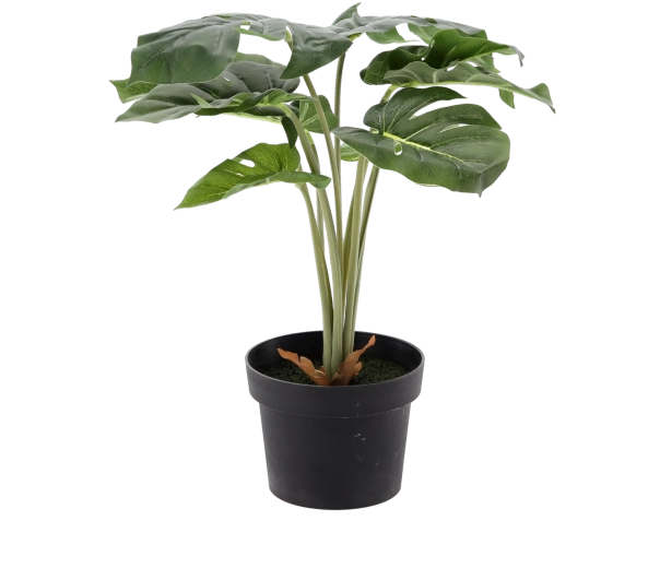 Umetna rastlina 42 cm