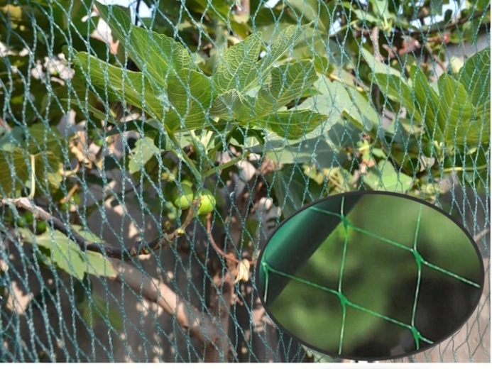 Diskretna in učinkovita zaščita vrta