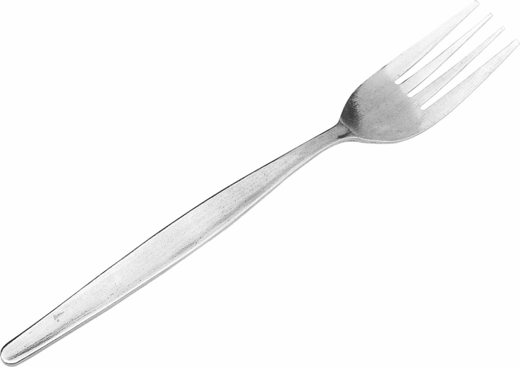 Set jedilnih vilic iz nerjavečega jekla, 6 kosov