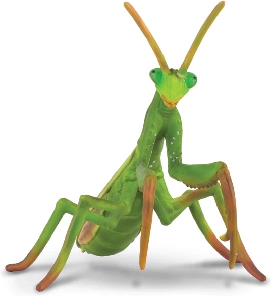 Praying Mantis – COLLECTA Plastic Figurine