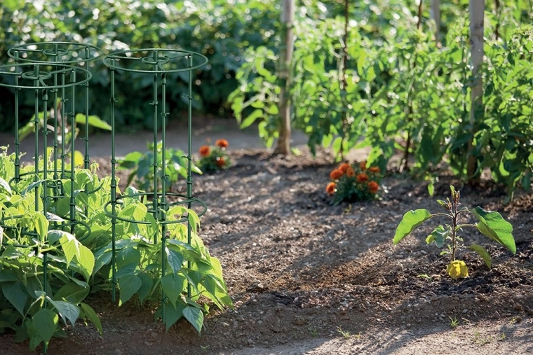 Odporna in neopazna v gredi