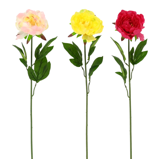 Realistična lepota brez vzdrževanja