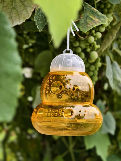 Enostavno obešanje kamorkoli