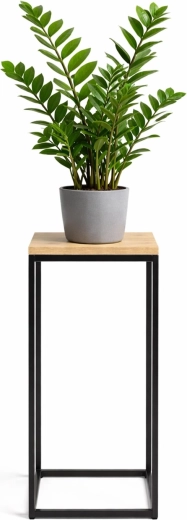 Stojalo za cvetlični lonec RENEW FORCE fos-tall 63 cm, 24 × 24 cm