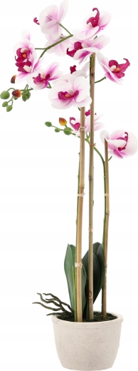 Idealna višina 70 cm