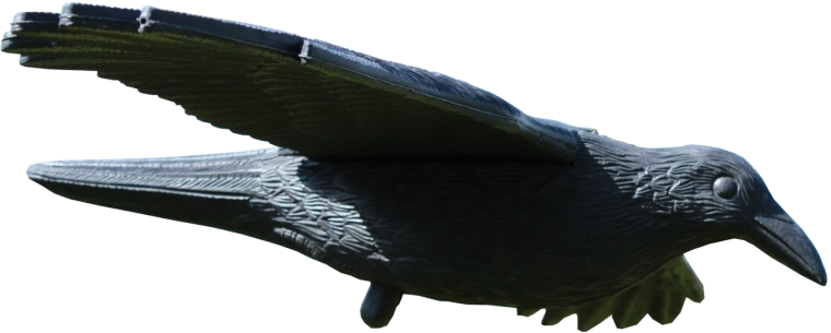 Odganjalec ptic krokar 80 × 44 × 12 cm