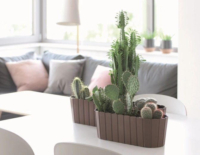 Stilski videz lesenih letvic