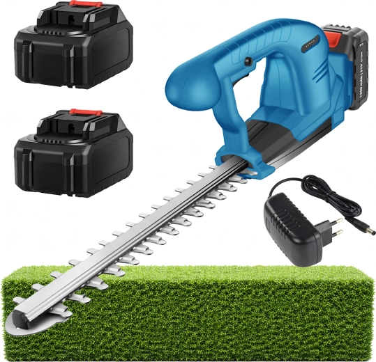 Komplet z 2× baterijama in polnilnikom