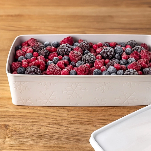 Varno zamrzovanje in organizacija