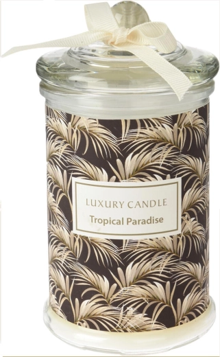 Stilski steklen kozarec s pokrovom