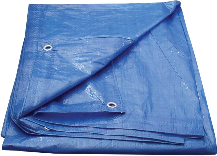 Prekrivna ponjava z očesi 5 × 8 m, modra – Economy