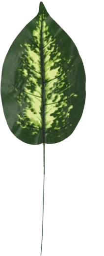 Set umetnih vejic difenbahije, 12 kosov