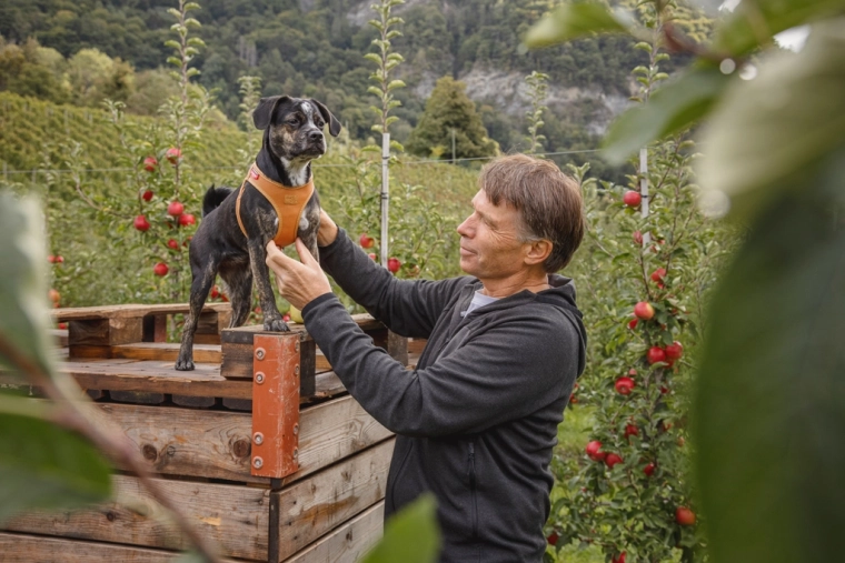 Enostavno zapenjanje z eno roko