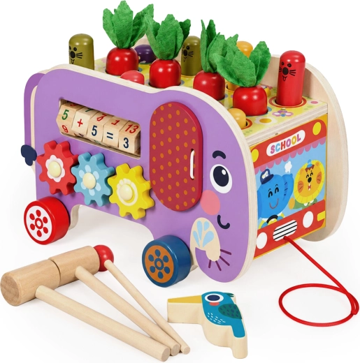 Eight activities in one elephant