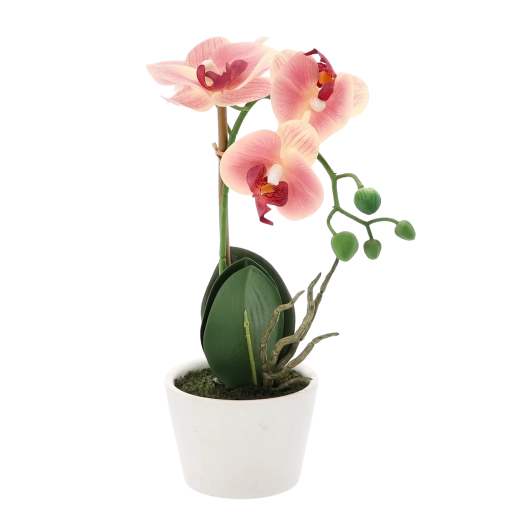 Kompaktna dekoracija za vsak prostor