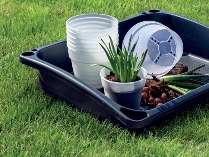 Idealna velikost za majhne rastline