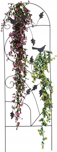 Dekorativen dizajn z lokom