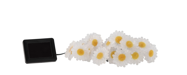 Čarobno cvetlično vzdušje