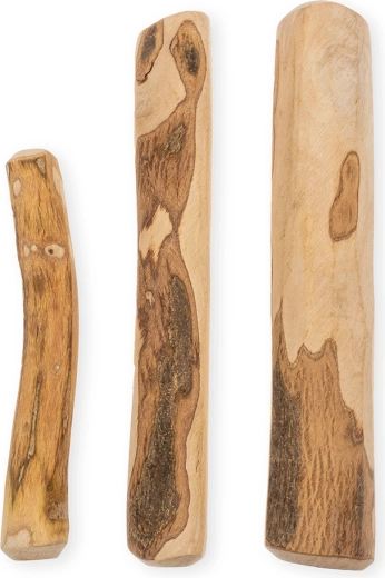 Podpora ustni higieni