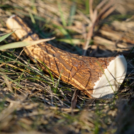 Trajnosten in naraven izdelek