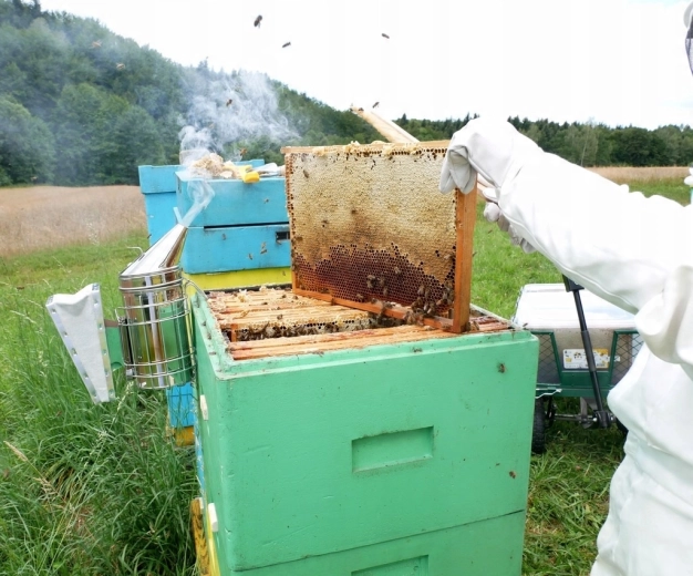 Idealni pomočnik pri točenju medu