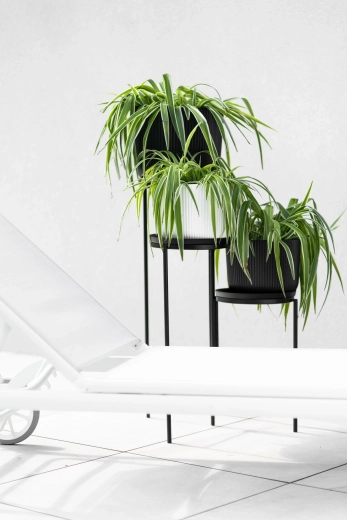 Slog, ki se ujema z modernim interierjem