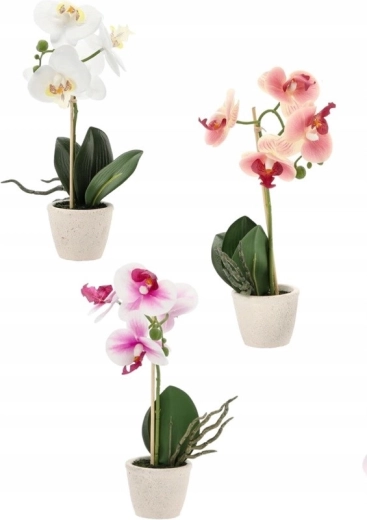 Mešanica treh elegantnih barv