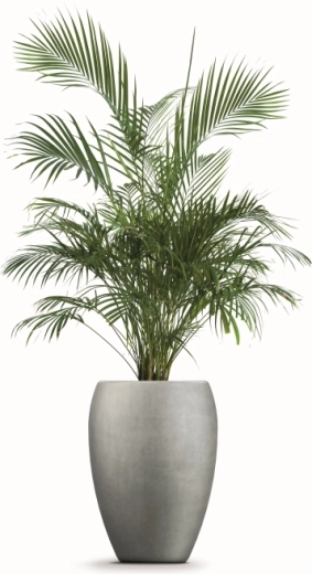 Lahek in enostavno prestavljiv