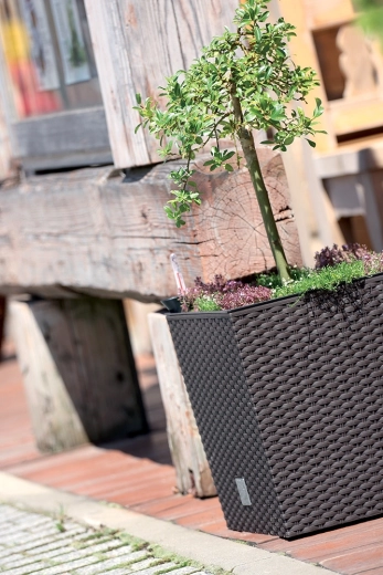 Udobno sajenje zahvaljujoč odstranljivemu vložku