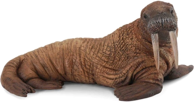 Collecta polar walrus figurine