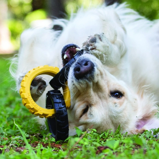 Interaktivna zabava doma in na prostem