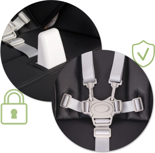 Maksimalna varnost s 5-točkovnim pasom