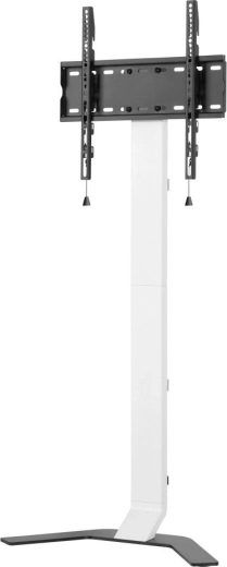 Stebrno stojalo za TV 32–70" slim, nosilnost 40 kg