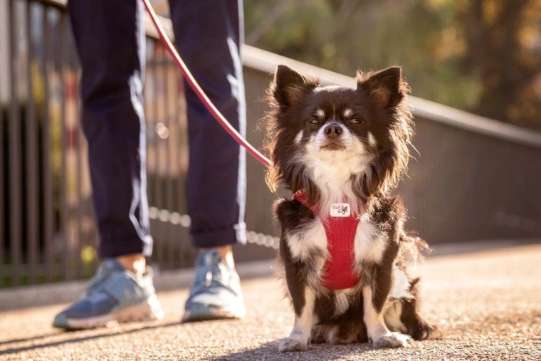 Zračni Air-Mesh s hladilnim učinkom