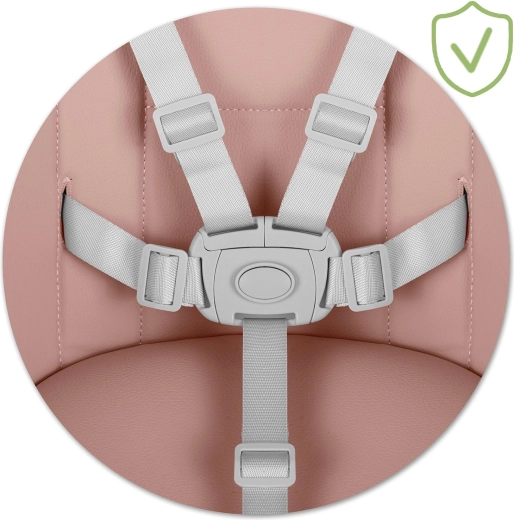 Največja varnost s 5-točkovnim pasom