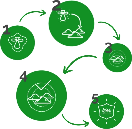 Preprosta uporaba korak za korakom