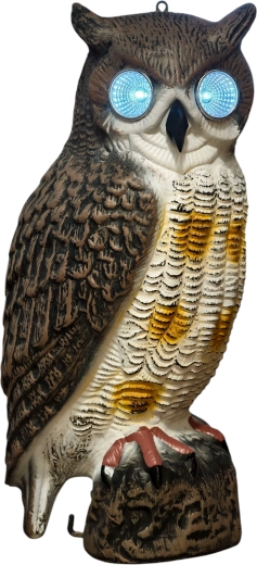 Sončne LED oči za večjo učinkovitost