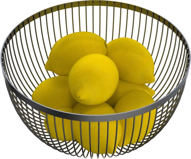 Žičena skleda za sadje, črna 24,6 × 14,6 cm