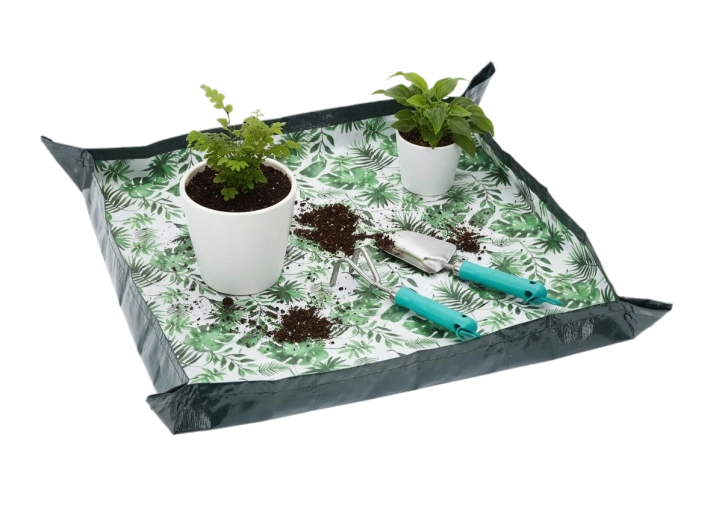 Čisto presajanje brez nereda