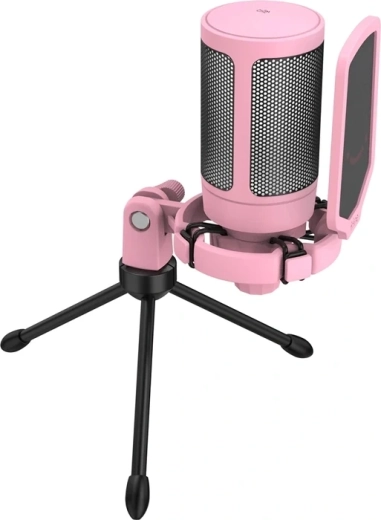 Pop filter za čistejši glas in manj motečih zvokov