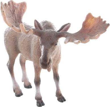 Realistična izvedba za pristno doživetje