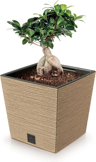 Lahek, a trden ECO material