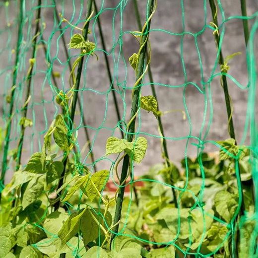 Vertikalna opora za bogat pridelek