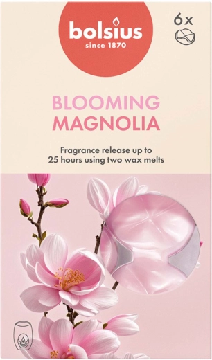 Dišeči voski z vonjem magnolije, komplet 6 kosov