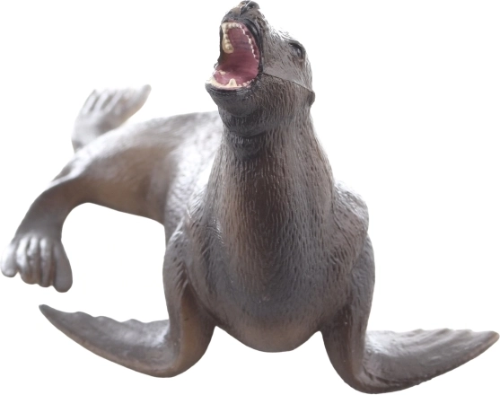 Odlična za učenje o morskih živalih