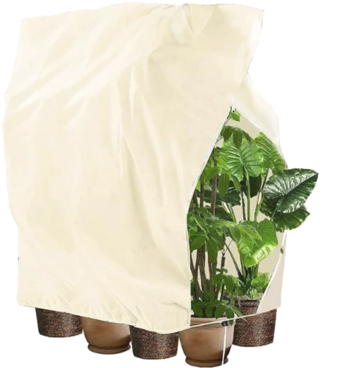 Zaščitni zimski pokrov za rastline z zateznikom 2 × 2,4 m, 80 g, bež