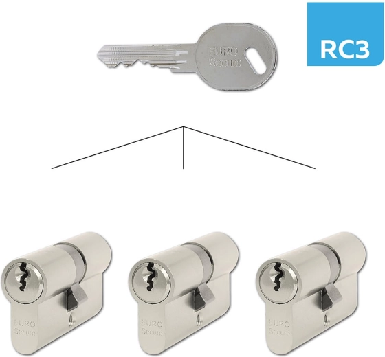 Cylinder Insert 30+35 mm for Keyed Alike RC3, Matt Nickel RICHTER (set of 3)