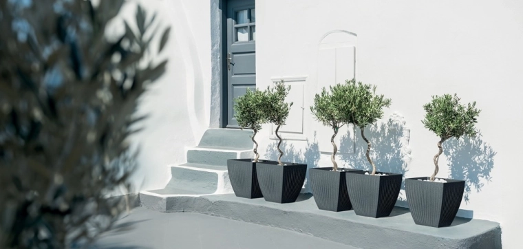 Pripravljen za večje rastline