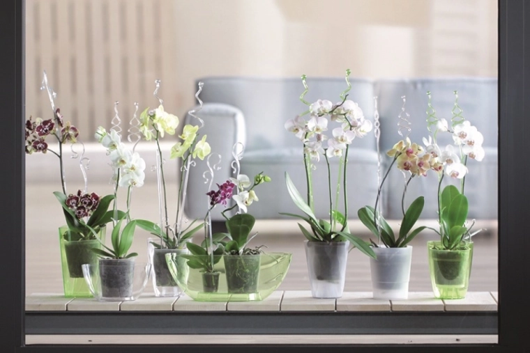 Primerno za notranje gojenje